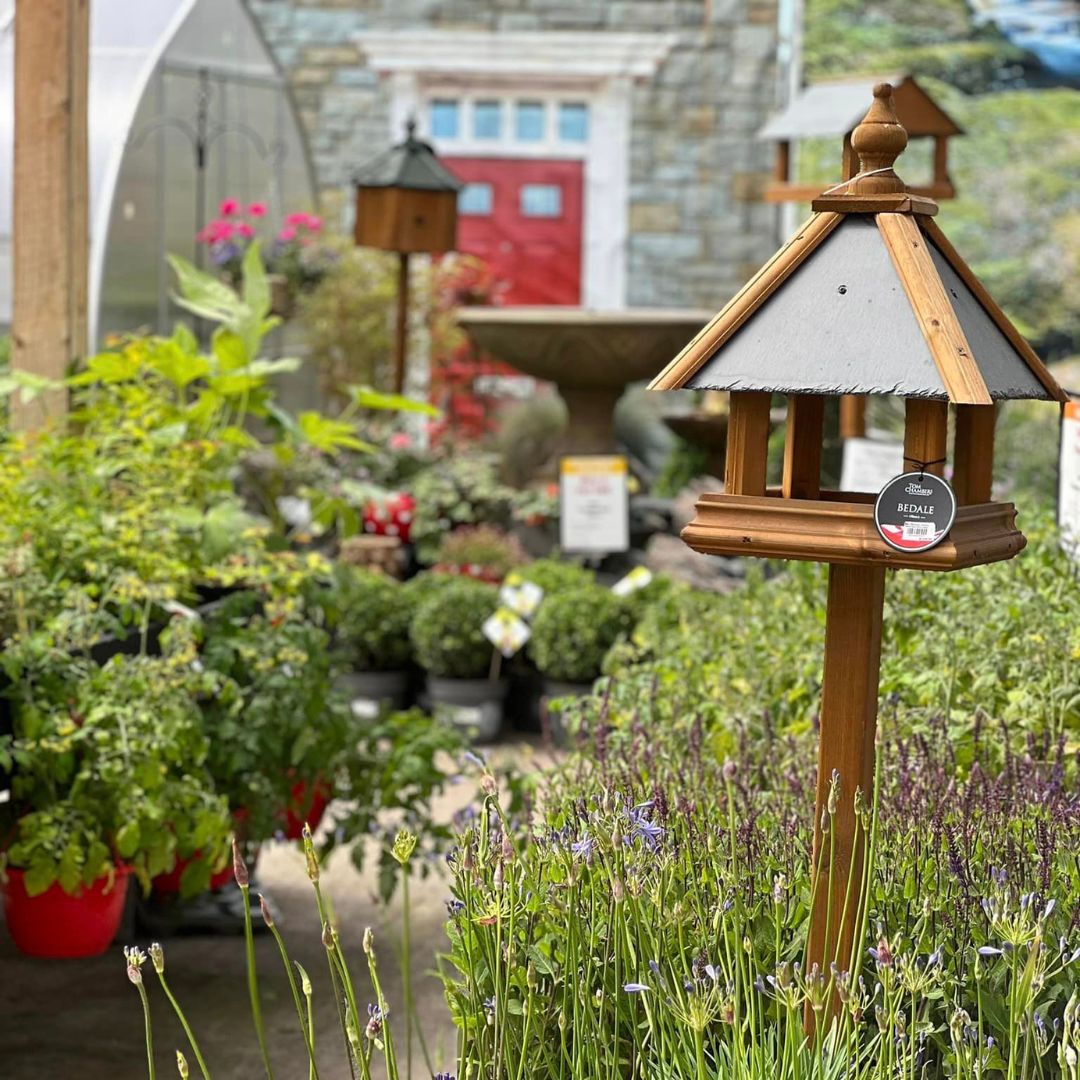 Get inspired and unlock the secrets of June's gardening wonders in our latest blog. 🌿🌞

Read it now: pulse.ly/i5wcn8z6pn 📲🌻

#JuneGardeningSecrets #GardenInspiration #GardenTips