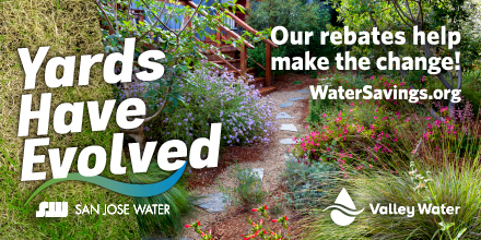 sjwaterco's tweet image. Goodbye, water-thirsty lawns, and hello beautiful water-wise landscapes!🌷

@valleywater&apos;s Landscape #RebateProgram can help you transform your thirsty yard into a beautiful #water-wise landscape. 🌳
Read more here: sjwc.us/nN6w50OH3gE