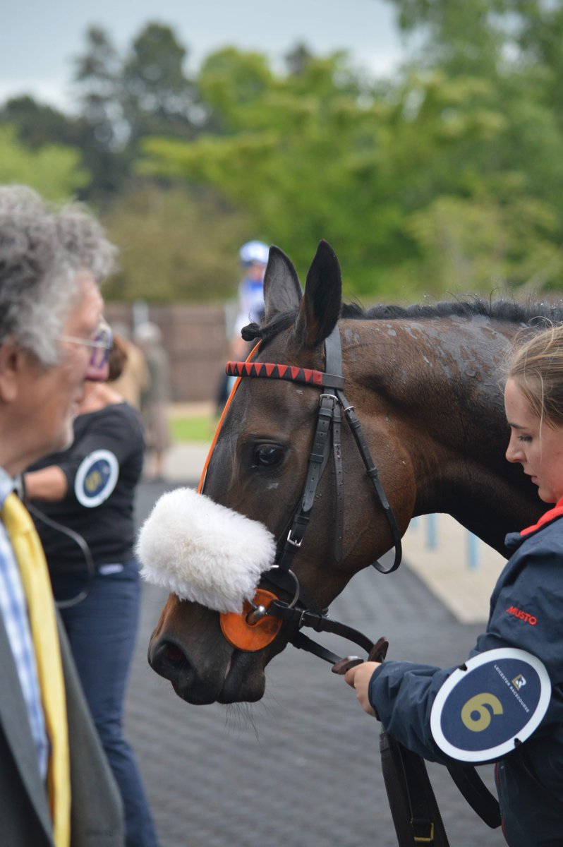 Leicester Racecourse tweet media