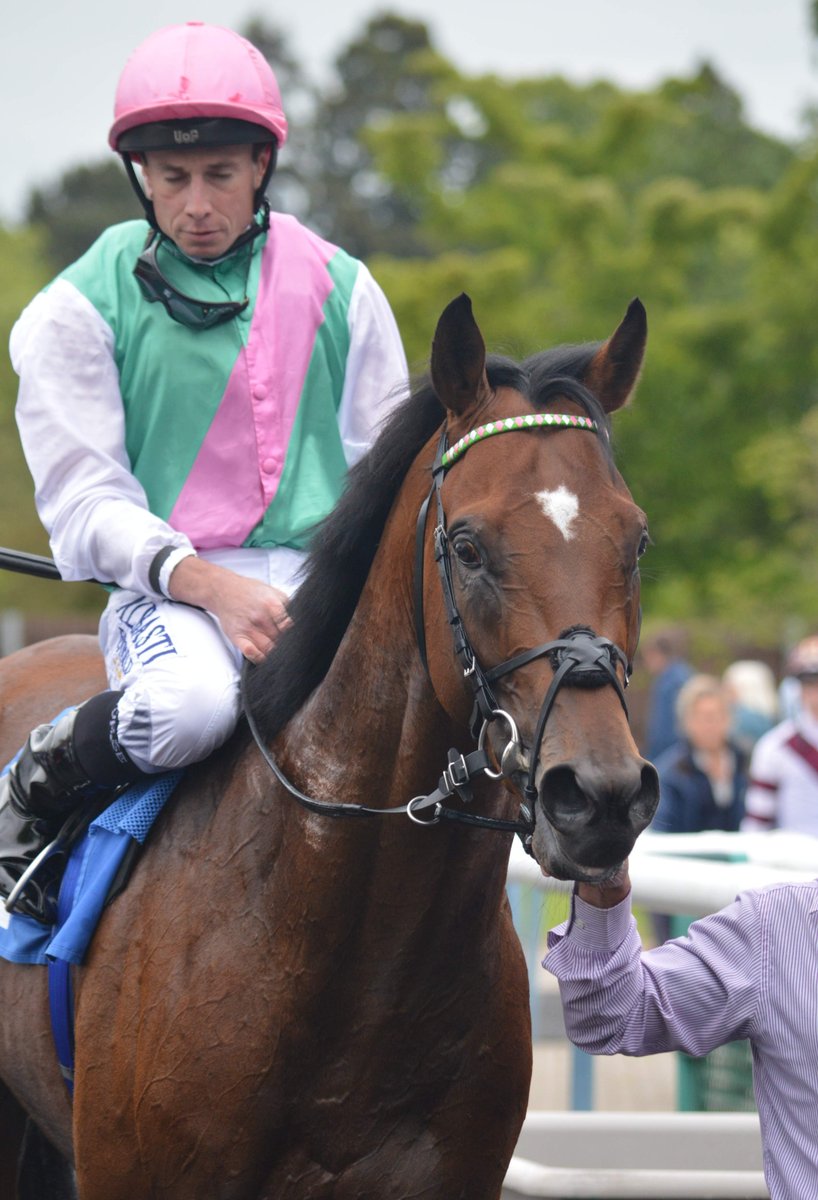 Leicester Racecourse tweet media