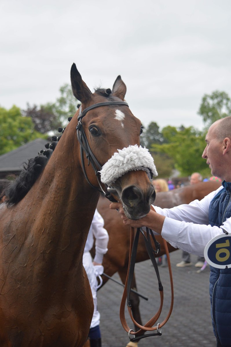 Leicester Racecourse tweet media
