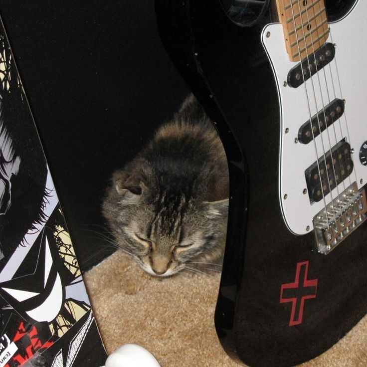 ᡴꪫ | hiatus. tweet media