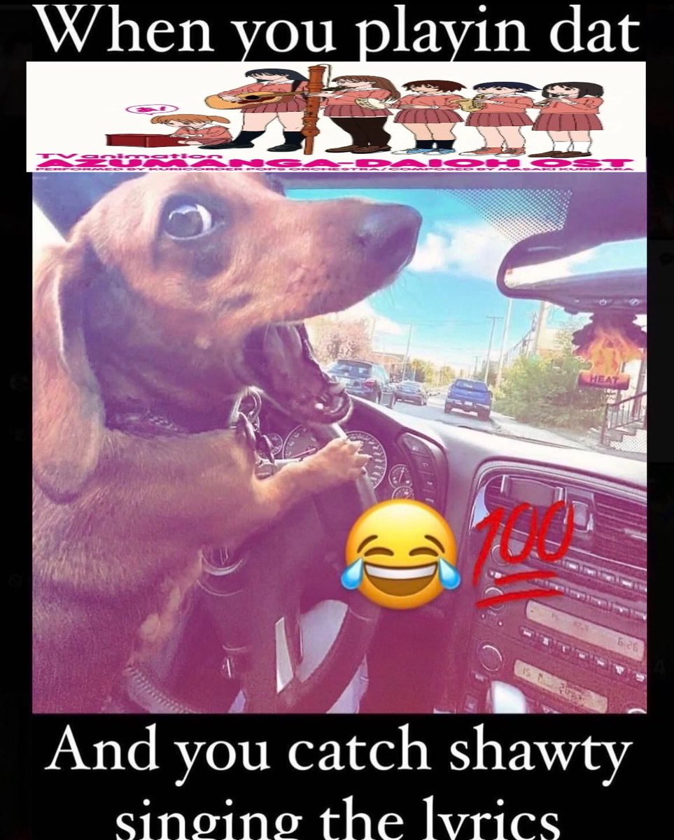 Frost the Samoyed 🐻\u200d❄️ (@fluffybearfrost) • Instagram photos and videos, image size:963x1200