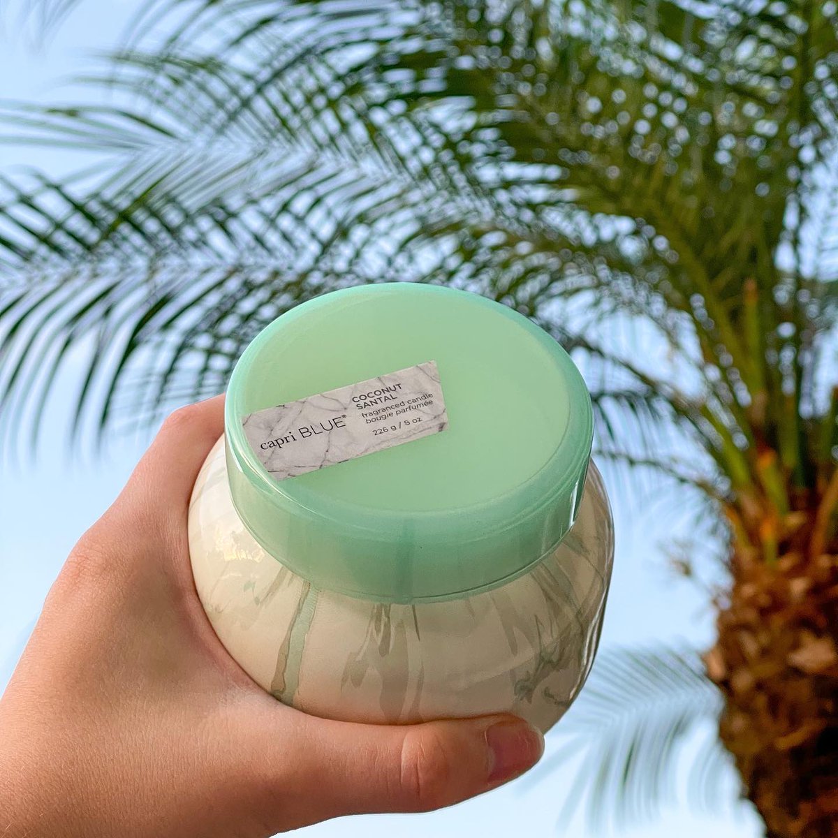 Float away to sandy beaches with Coconut Santal!🥥☀️🌴 Fill your space with the summery notes of flowering hibiscus, lime, coconut and amber.