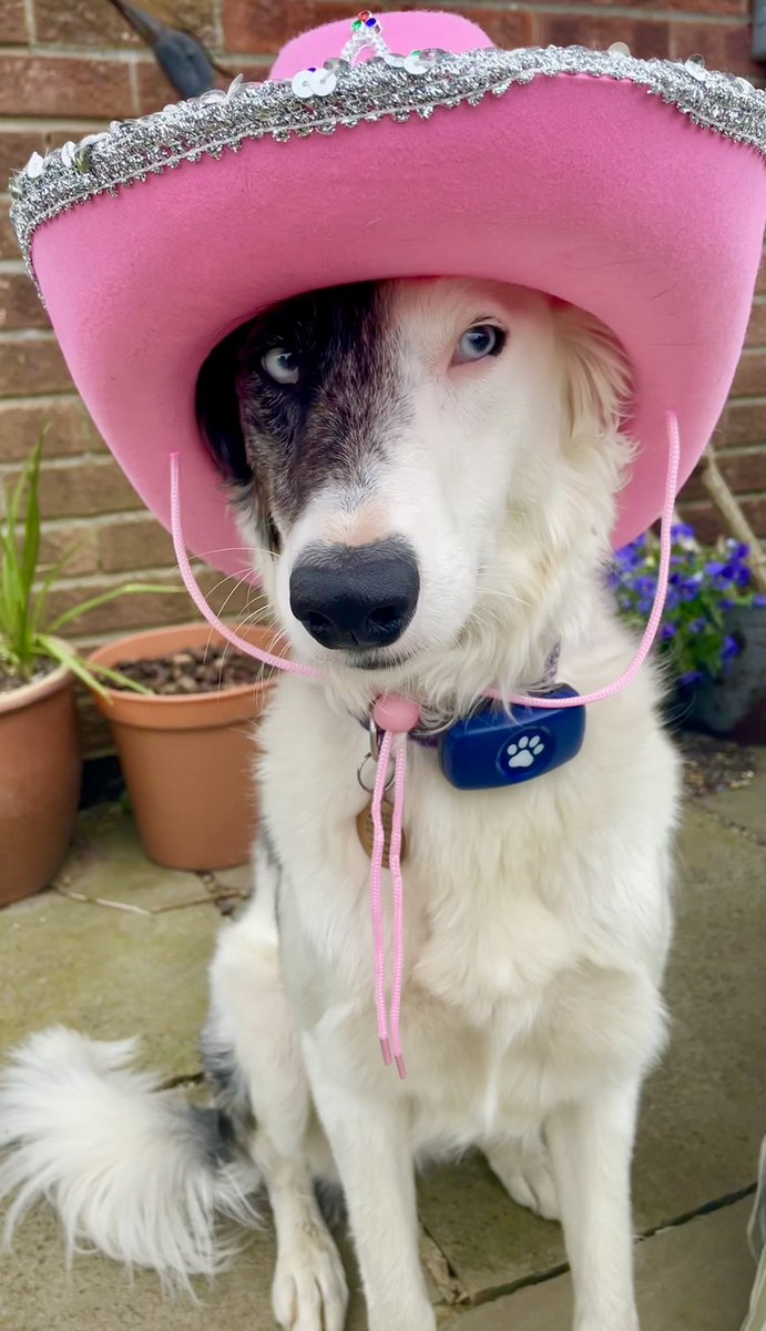 Mum went to the #EltonFarewellTour in #Leeds last night, and bought back this hat. It’s too girly for Max, but not for me!Lots of love from Rosie 🥰