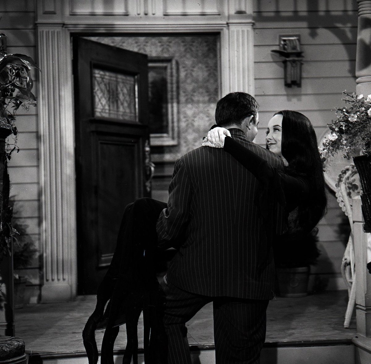 theconservatcry's tweet photo. #theaddamsfamily #morticiaaddams #gomezaddams #carolynjones #johnastin https://t.co/yn7Xeb6JKG