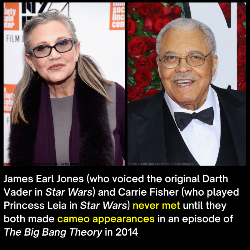 Past Factory tweet media