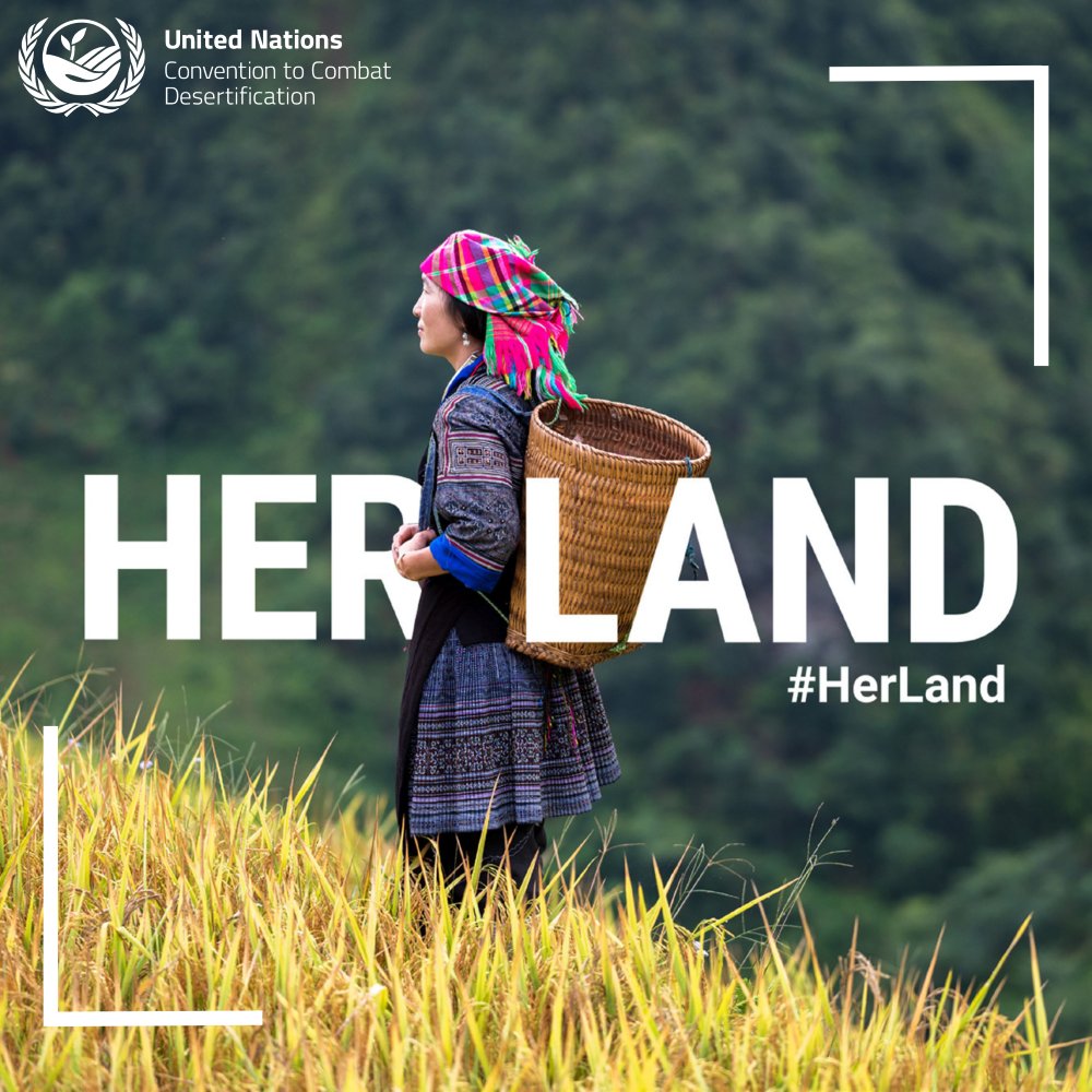 For this year's #DesertificationandDroughtDay, @UNCCD is calling for #women and equal #LandRights to be at the forefront in making our 🌎 planet more resilient 🌱

Tell your story of women safeguarding earth from land degradation and drought: bit.ly/HerLand

#HerLand