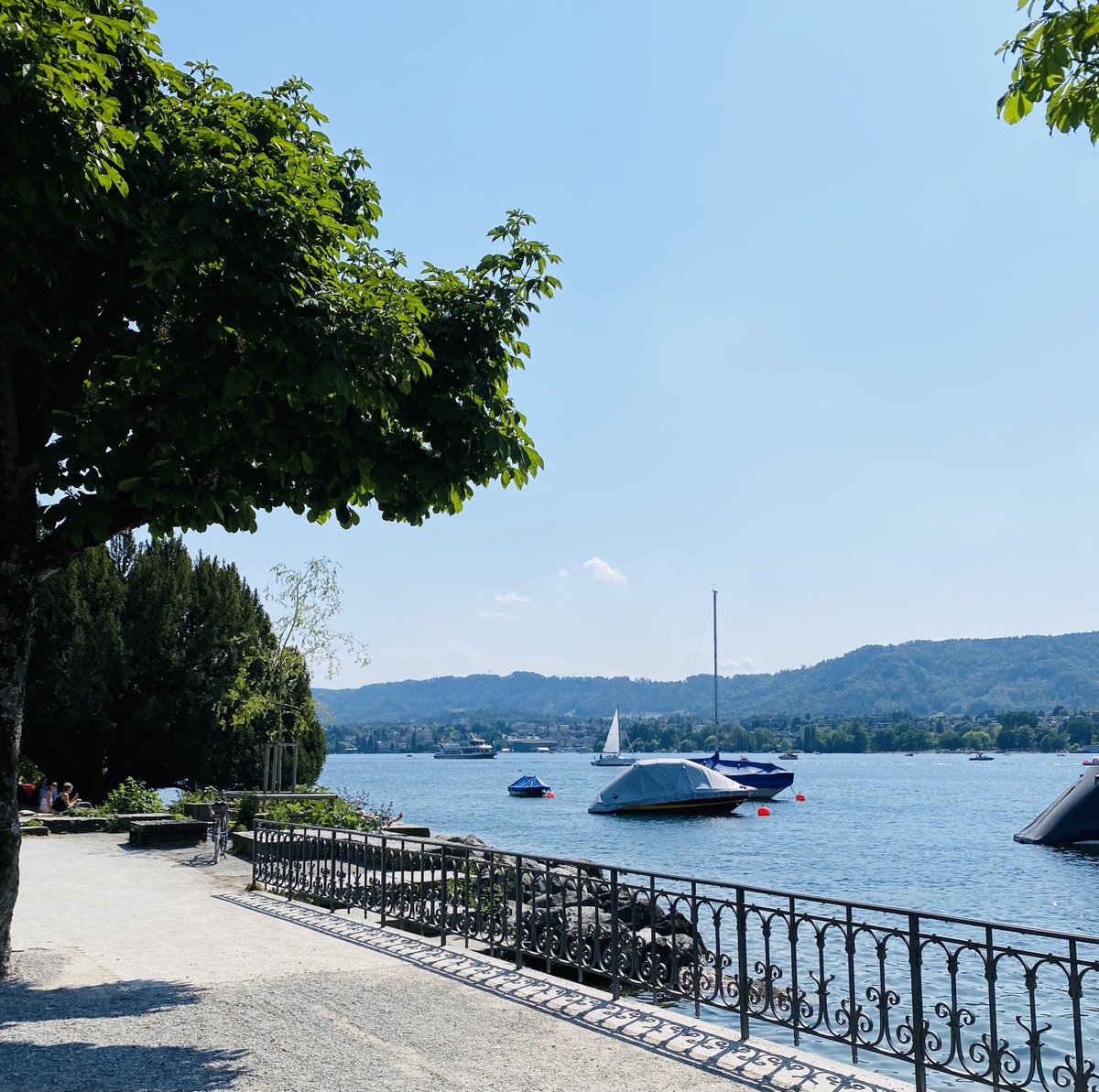 Lakeside Zurich 🌞