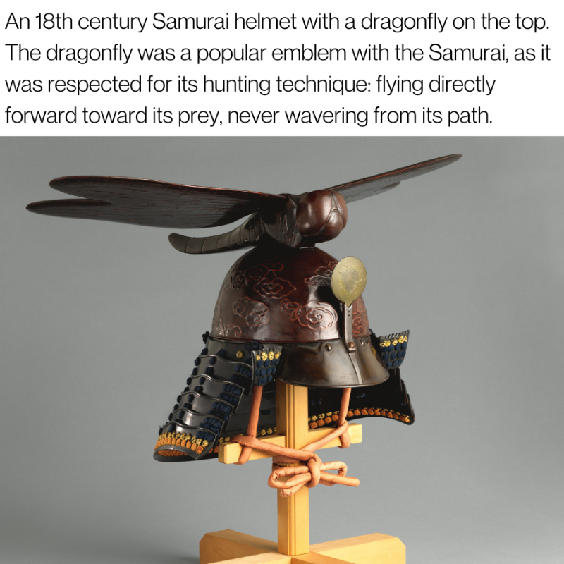 Past Factory tweet media