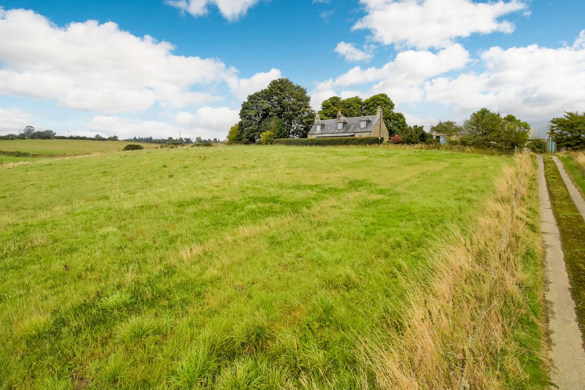 Galbraith_ABD's tweet image. SOUTH BURNSIDE, YTHANBANK

A detached traditional farmhouse with fantastic panoramic views and ~10 acres. The property presents an excellent smallholding, equestrian or lifestyle opportunity.

☎️01224 860710 
💻tinyurl.com/bdfwn29y

#ForSale #Aberdeenshire #ExpertsInOurField