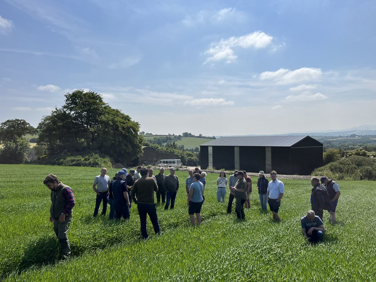 A visiting group of farmers from Denmark checking out the farm today. Part of #IPMworks 
The obligatory tasting of <a href="/WaterfordWhisky/">Waterford Distillery</a> Tinnashrule went down very well! 
<a href="/TeagascSignpost/">TeagascSignpost</a> <a href="/TeagascCrops/">Teagasc Tillage Team</a> <a href="/PhelanShay/">Shay</a> <a href="/eoinlyons21/">Eoin Lyons</a> 

#Tinnashrule #waterfordwhisky