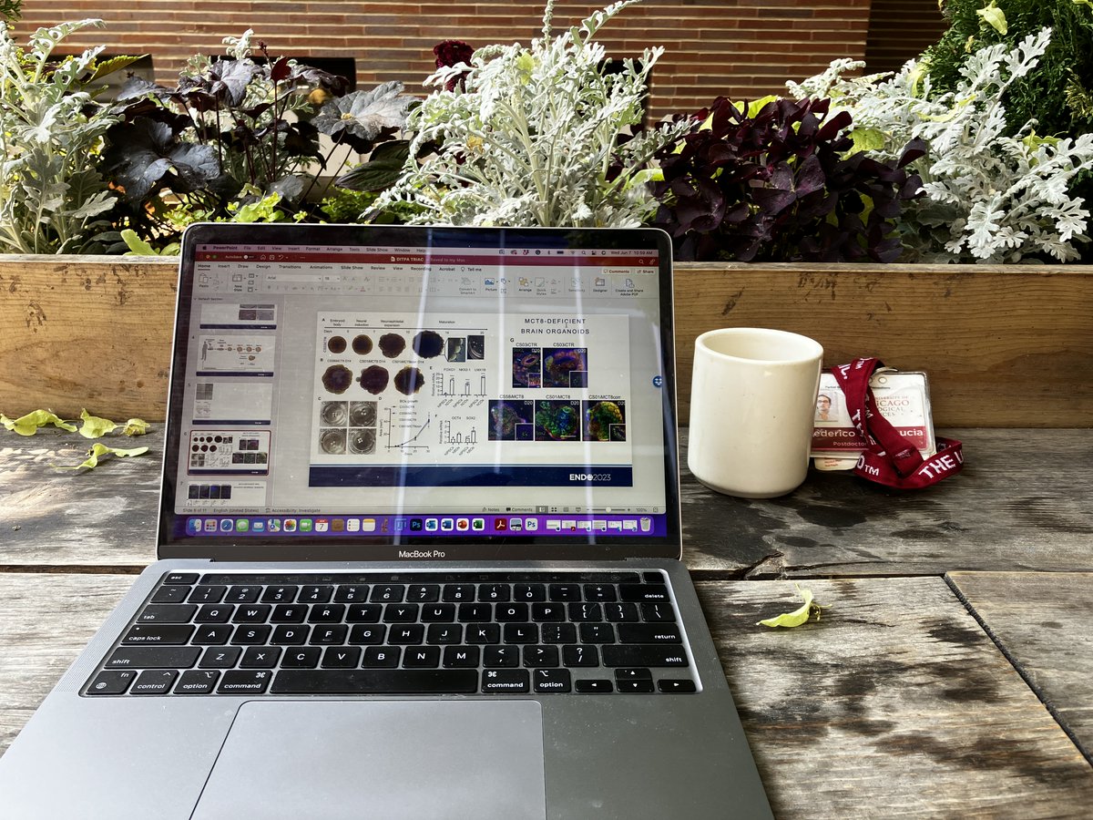 Federico Salas-Lucia tweet media