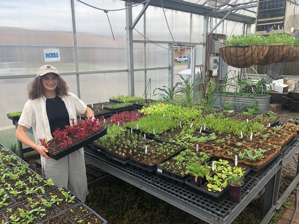 Want to help BVSD provide top quality nutrition education, including greenhouse-based programming, food waste prevention, and in-school events focused on eating local, nutritious meals? Join us as an AmeriCorps eeCorps service member! 

food.bvsd.org/get-involved/s…