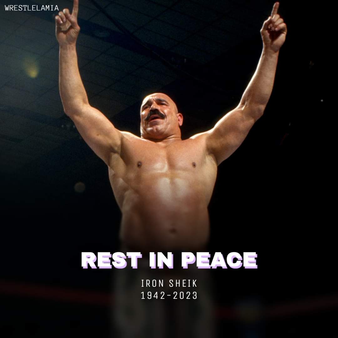 Kristen Hall tweet media