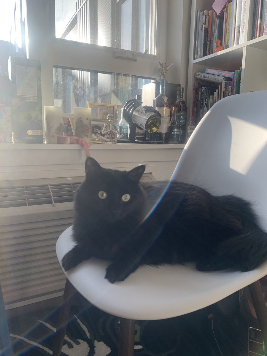 bby bink says “goooooooob mormon”