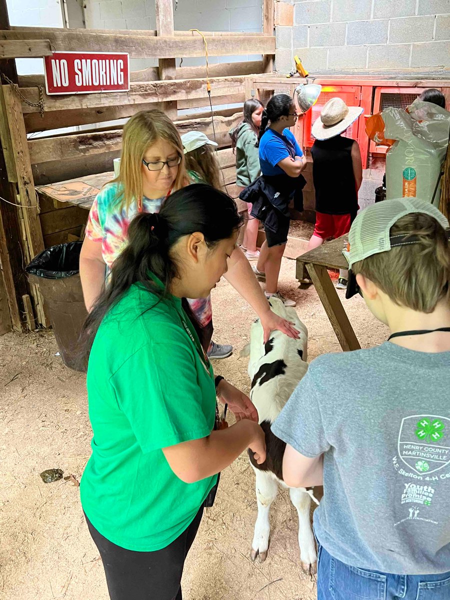 VCE_Director's tweet photo. Spending time seeing our amazing 4-H program in action through the magic of summer camp! W.E. Skelton 4-H Educational Center. Horses, swimming, fishing, drones… camping sure has become something even more amazing since I was their age! @VACoopExt https://t.co/PtokA2SEaL