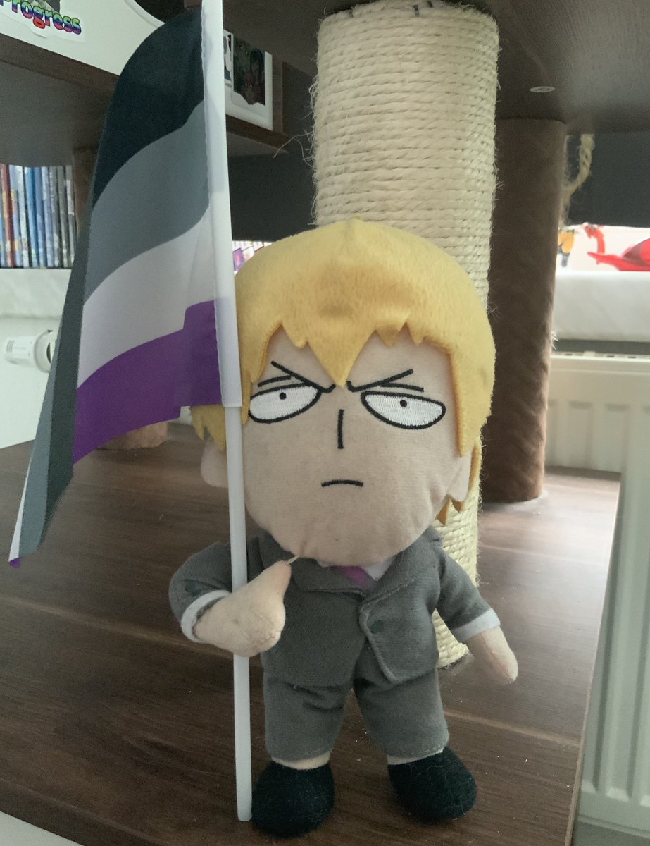 Stand tall for the flag 🫡