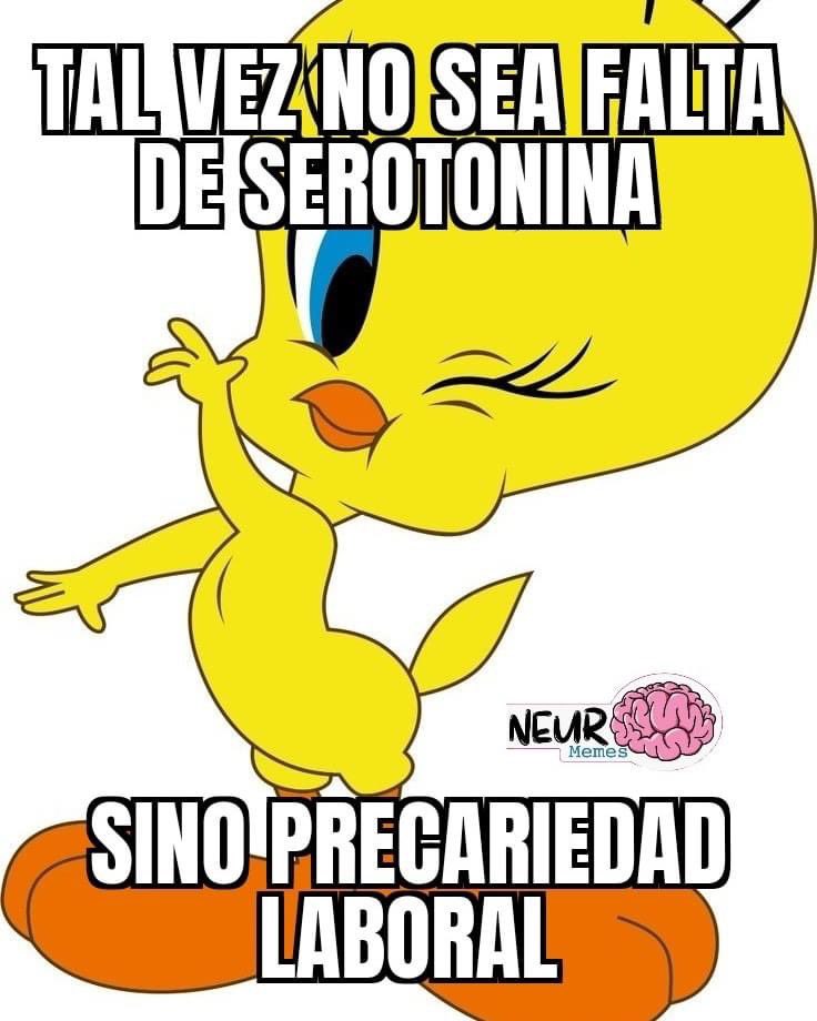 NeuroMemes (@neuromemes) on Twitter photo 