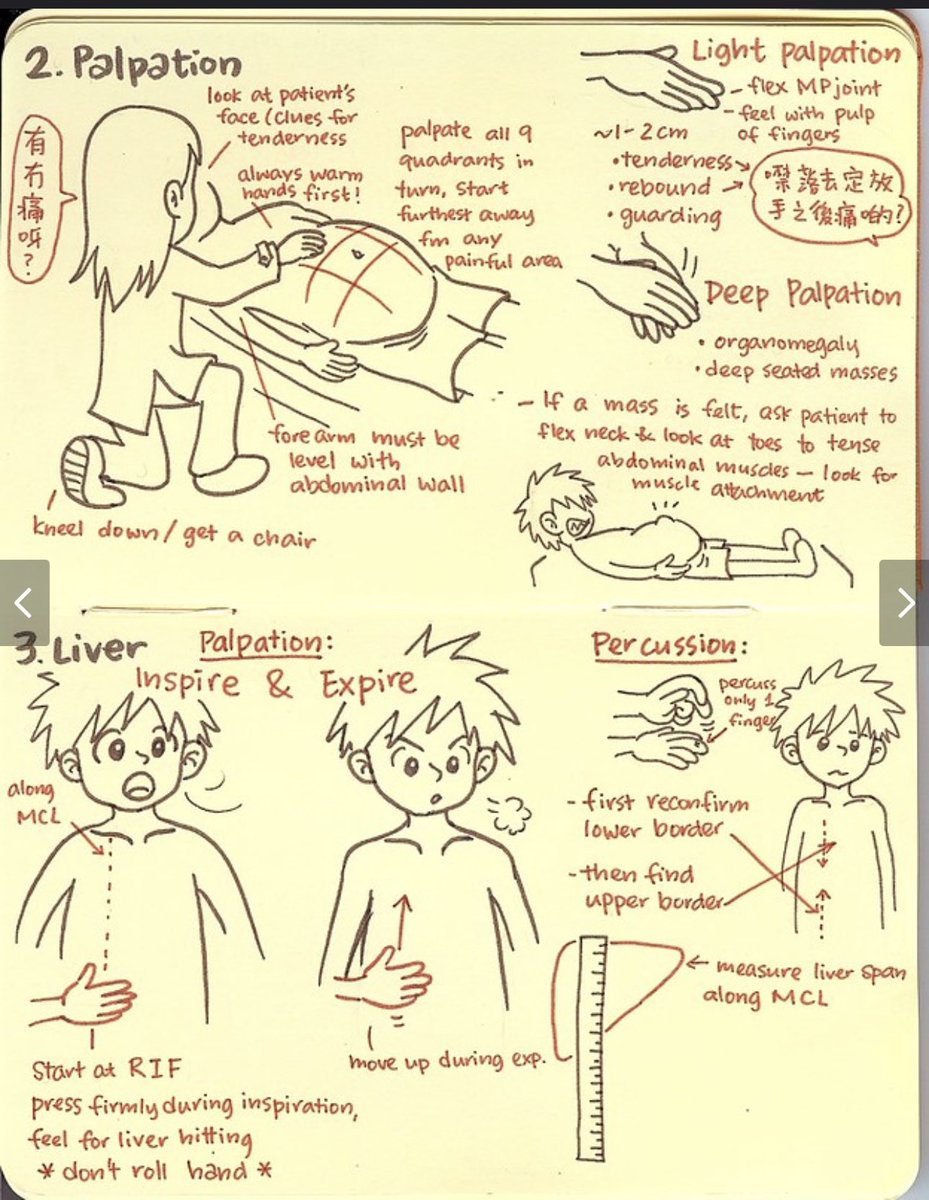 Ω
ΩΨ― | MEDππ on Twitter: