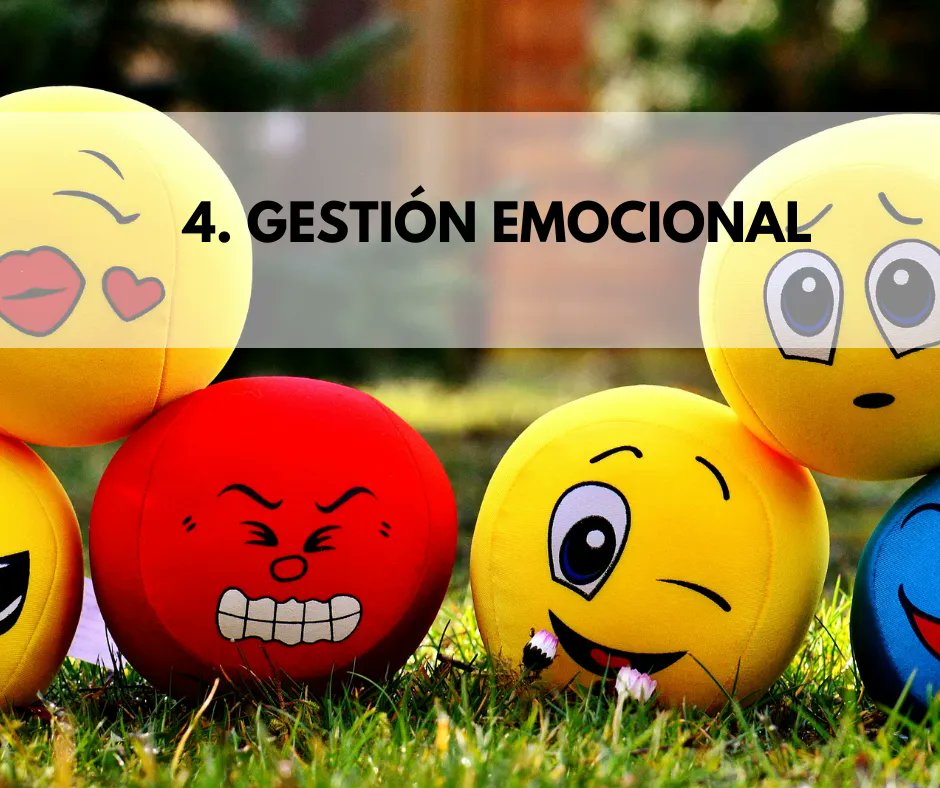 𝗟𝗔𝗦 4 𝗛𝗔𝗕𝗜𝗟𝗜𝗗𝗔𝗗𝗘𝗦 𝗜𝗡𝗗𝗜𝗦𝗣𝗘𝗡𝗦𝗔𝗕𝗟𝗘𝗦 

#habilidades #tecnología #habilidadesblandas #habilidadeshumanas #comptencias #conocimiento #aprender #coachingempresarial #coachingvalencia #coach