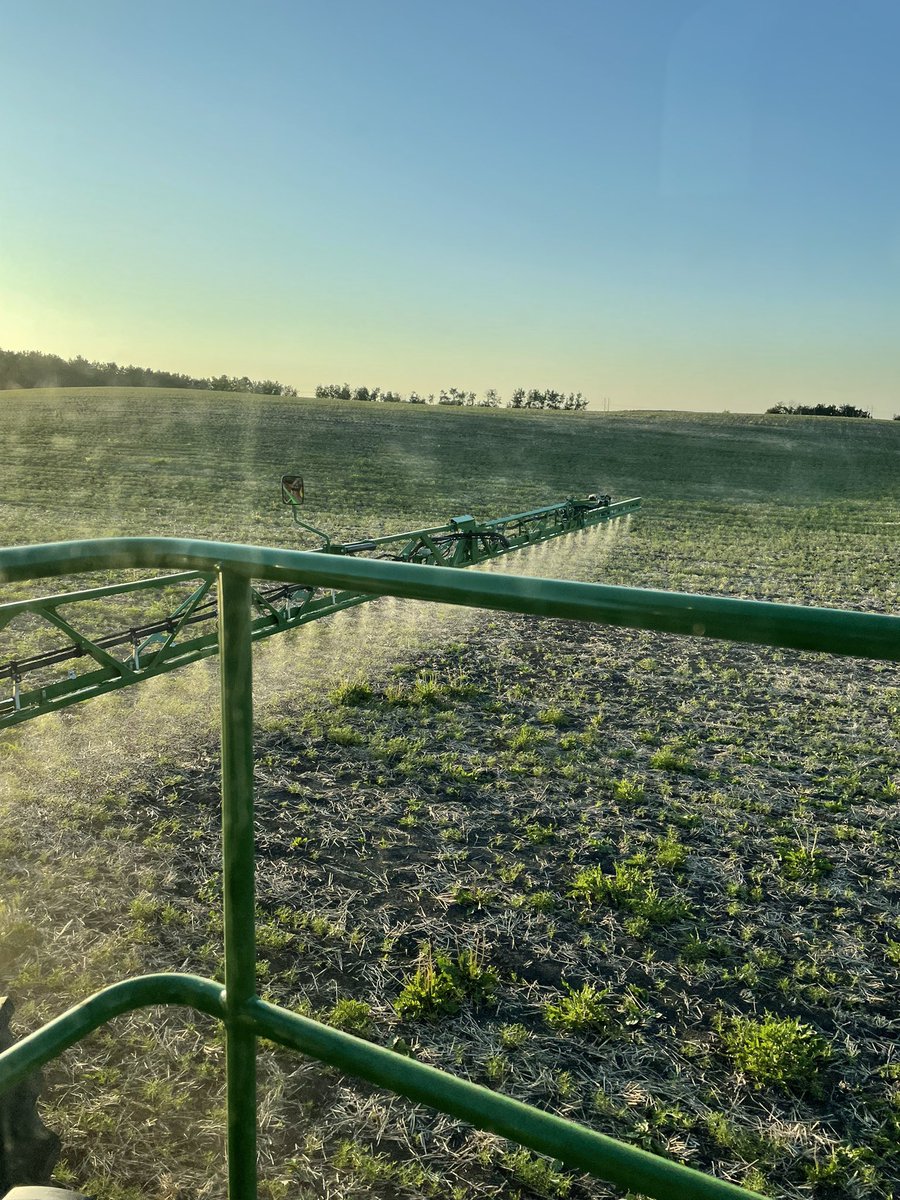 Robyne Bowness Davidson (@pulsechickab) on Twitter photo June 6 on the Farm. Lupins looking good but really need a drink. 3-4 leaf stage. Field is really clean thanks to Edge application (and dry conditions). Applied metribuzin at 110g/ac, 10 gallons/ac water. <a href="/APGresearch/">Jenn Walker</a> <a href="/APGExtension/">Nevin - Sustainability and Government Relations</a> <a href="/djdavidson66/">Dave Davidson</a> June 6 on the Farm. Lupins looking good but really need a drink. 3-4 leaf stage. Field is really clean thanks to Edge application (and dry conditions). Applied metribuzin at 110g/ac, 10 gallons/ac water. <a href="/APGresearch/">Jenn Walker</a> <a href="/APGExtension/">Nevin - Sustainability and Government Relations</a> <a href="/djdavidson66/">Dave Davidson</a>