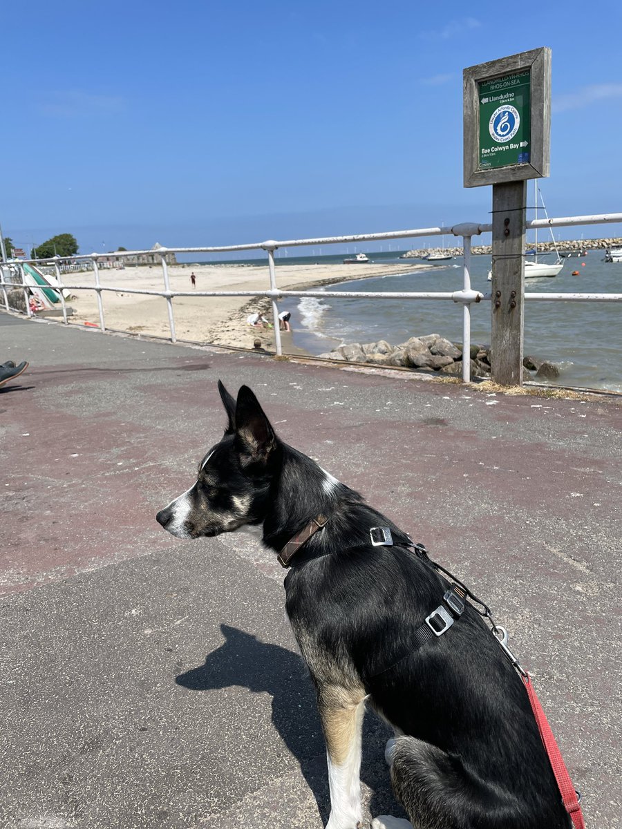 Paul Holroyd tweet media