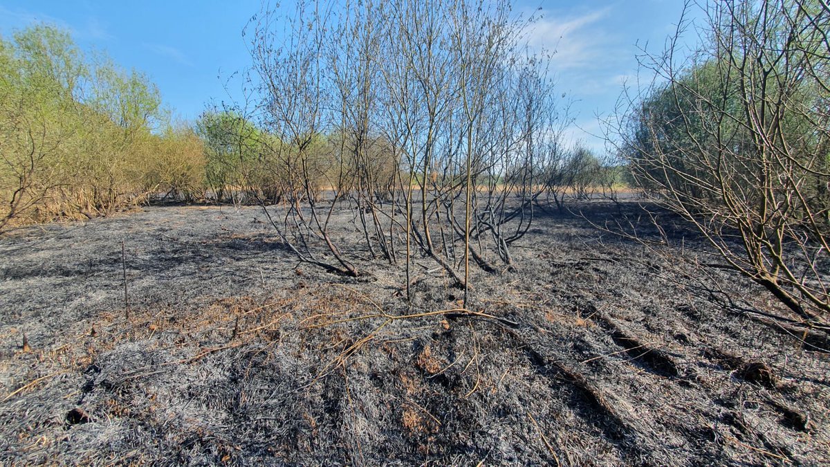 cumbriawildlife's tweet photo. It's hot, it's dry, &amp; risk of wildfires is high. Advice:

🧺 Take a picnic out with you, not a BBQ
🚬 Take all rubbish home, inc cigarette butts
📱 See smoke/flames? Call 999 
🗣️ Spread the word ⬆️

📷Yorkshire Wildlife Trust's Potteric Carr Nature Reserve after fire last year. https://t.co/vDuBONhN01