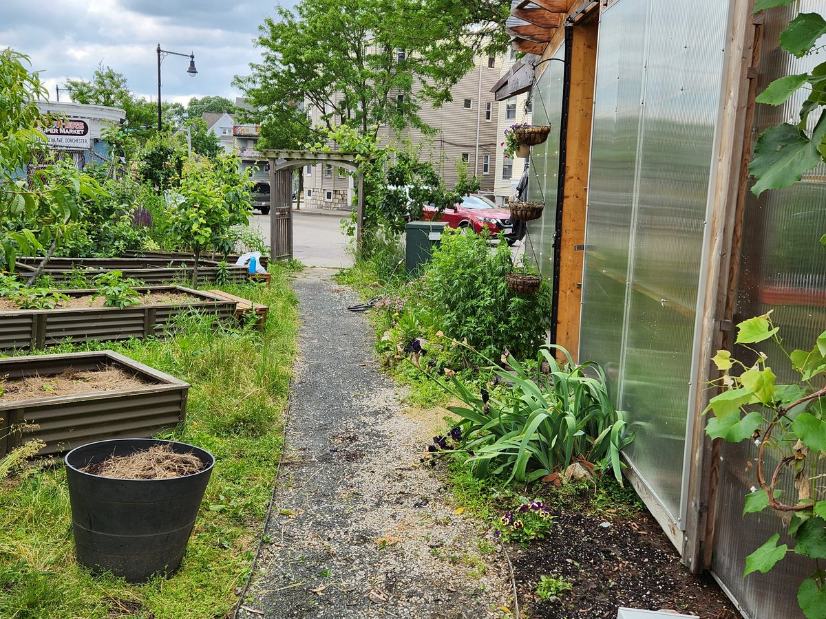 Thank you to the Boston Food Forest Coalition who gave our community organizers a tour of the Hope Garden on Geneva Ave in #Dorchester. We look forward to continuing the conversation and exploring opportunities for our CLT community on Leroy St to help steward the garden