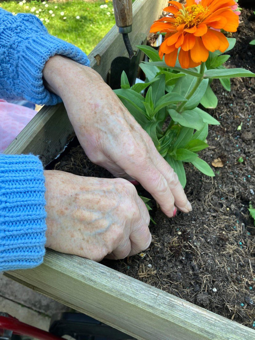 Lots of gardening activities with our Meaningful Activities Coordinator Margaret 🪴 the patients loved spending time outside 🩷 The raised flower beds are looking beautiful, just in time for our hospital fete on the 8th July! @lof_launceston @sarahddaniel @NooWilks5 @gp_kernow