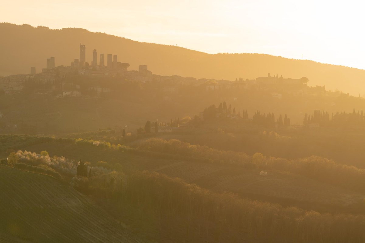 Aydin Hassan tweet media