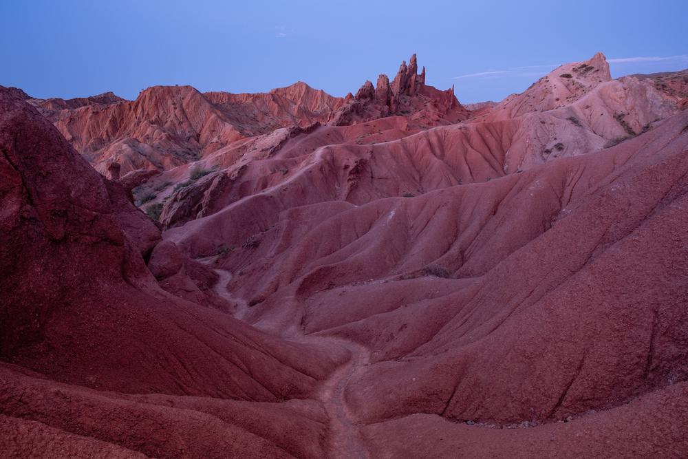 Aydin Hassan tweet media