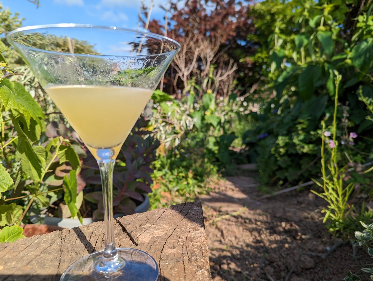 Praetorae's tweet photo. Cargo cult banana rum, freshly squeezed lime juice and powdered sugar in that wonderful 6:2:1 ratio. A perfect daiquri for a sunny evening 😁 https://t.co/43YTB90Cx1