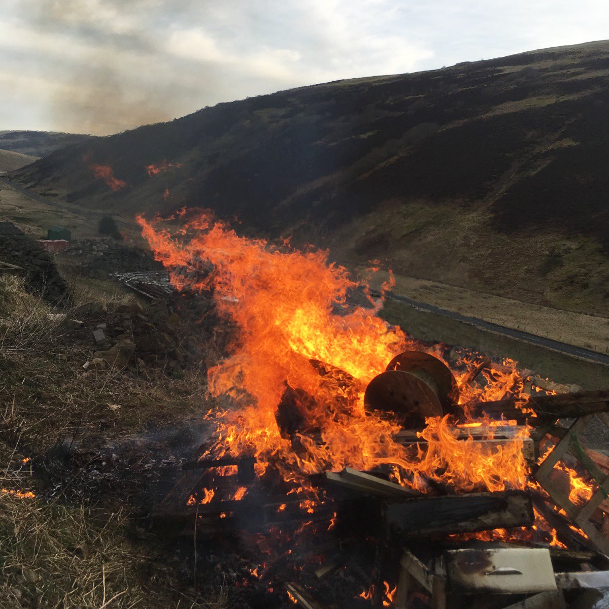 Makeness tweet media