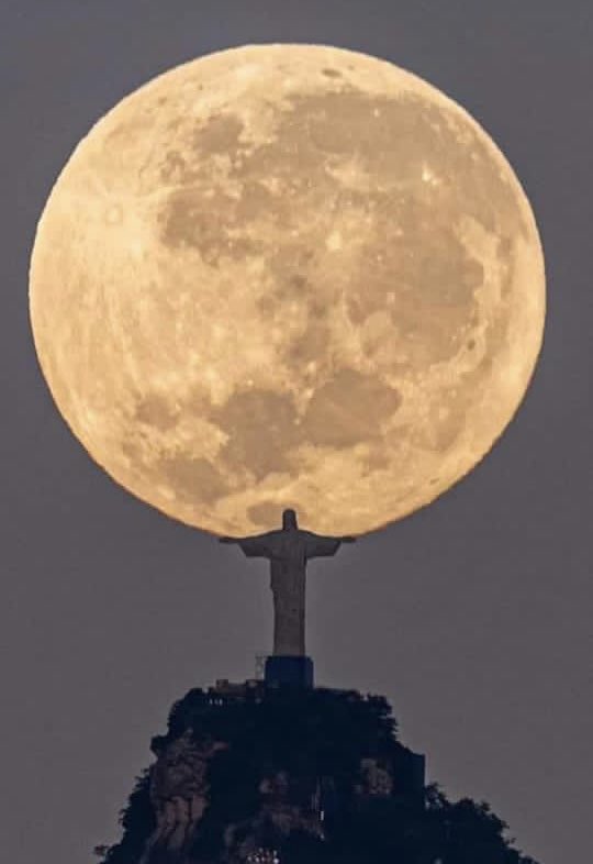 cebichincondesa's tweet image. Un año completo viviendo en el Cristo del Corcovado hasta que la foto saliera perfecta. 
Al menos merezco un laic.
