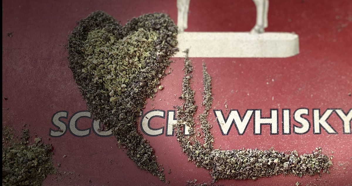 KokoHealingC's tweet photo. 🔥@KokoHealingC 💨🕶Grinding Rolling, Smoking &amp; Loving💚Happy Hump Day💚🔥#420community #smoke #Cannabisart #cannabisculture #Mmemberville #StonerFam #WeedMob https://t.co/EcrHxumwwd
