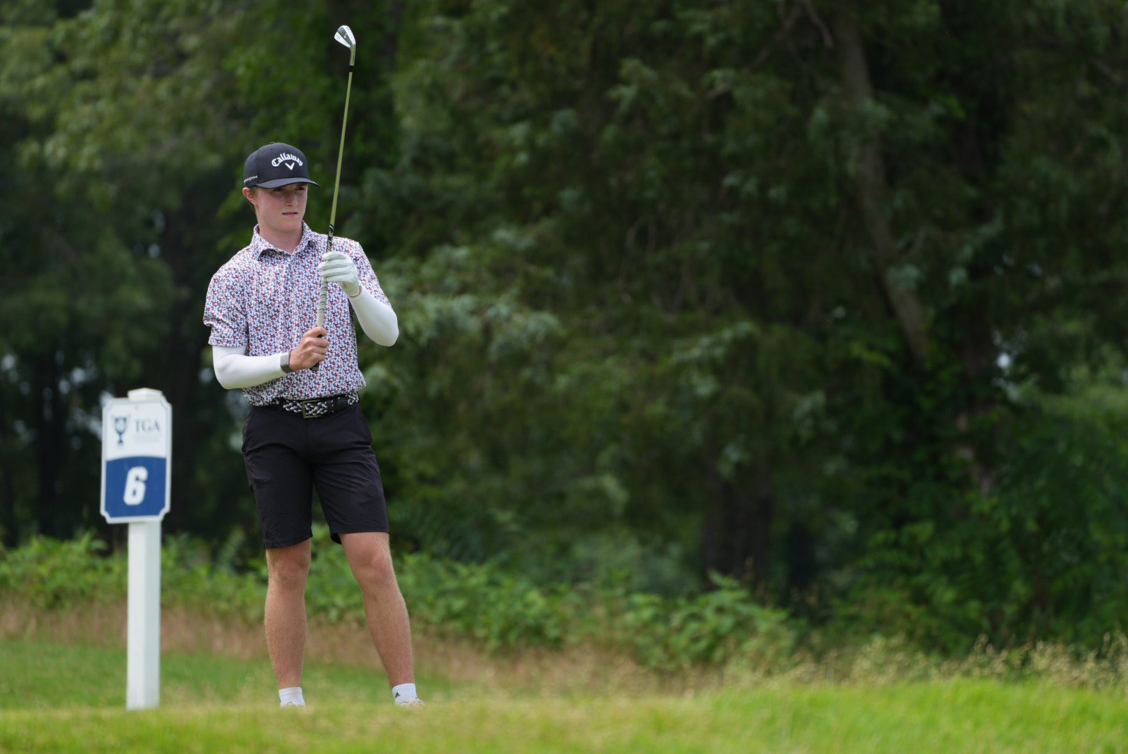 Tennessee Golf Association on Twitter "The 74th Tennessee State Open