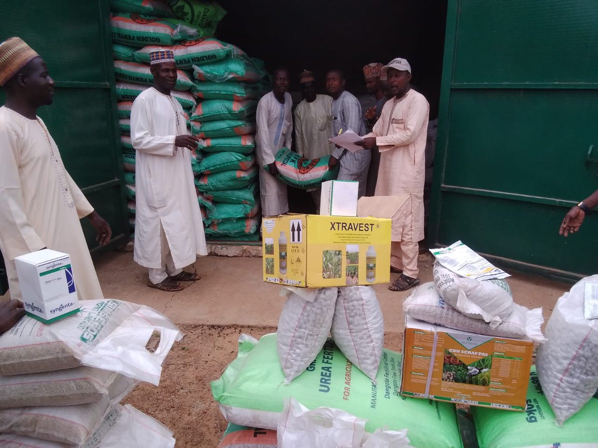 NigeriaSasakawa's tweet image. In Gwarzo LGA, we have distributed #farminputs to farmers in communities through the @KanoPastoral to establish 39 Demos &amp;amp; Community-Based Seed Multiplication plots to promote new technologies/Good Agronomic Practices GAPs funded by @isdb_group &amp;amp; @LLF_fund