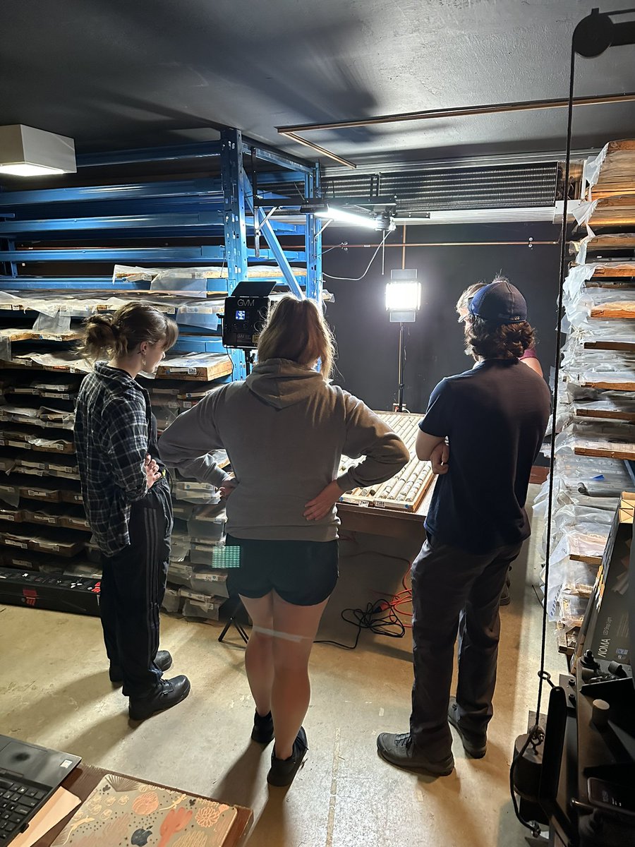 Gordon Oz Osinski (@drcrater) on Twitter photo Fun and productive morning getting set up to start logging drill core from various 🇨🇦 meteorite impact structures - this collection of >9 km of core is on long term loan to <a href="/westernuEarth/">Earth Sciences</a> from <a href="/GSC_CGC/">Geological Survey/Commission géologique Canada</a> <a href="/NRCan/">Natural Resources</a> as part of the #ImpactEarth initiative impactearth.com Fun and productive morning getting set up to start logging drill core from various 🇨🇦 meteorite impact structures - this collection of >9 km of core is on long term loan to <a href="/westernuEarth/">Earth Sciences</a> from <a href="/GSC_CGC/">Geological Survey/Commission géologique Canada</a> <a href="/NRCan/">Natural Resources</a> as part of the #ImpactEarth initiative impactearth.com