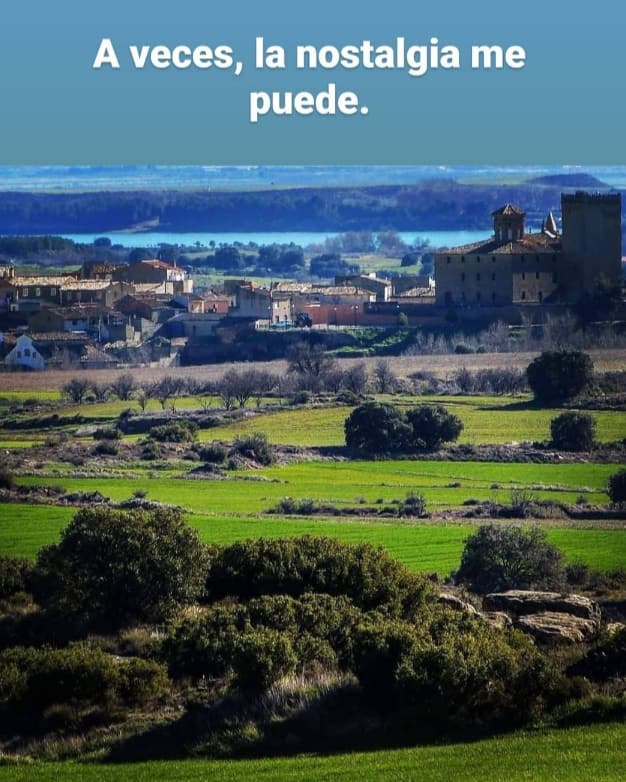 Fernando Ezquerra Lapetra tweet media