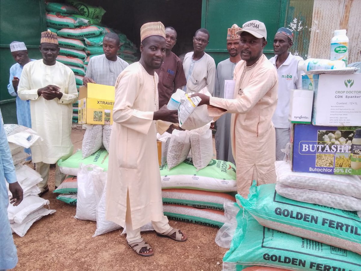 In Gwarzo LGA, we have distributed #farminputs to farmers in communities through the @KanoPastoral to establish 39 Demos & Community-Based Seed Multiplication plots to promote new technologies/Good Agronomic Practices GAPs funded by @isdb_group & @LLF_fund