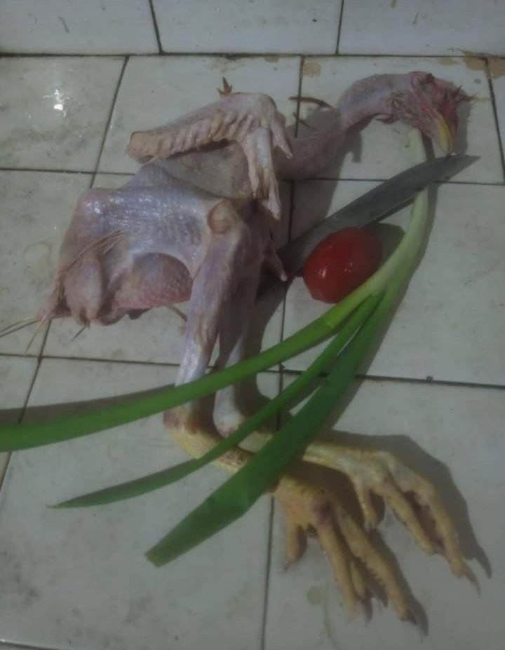 DciJuja tweet media