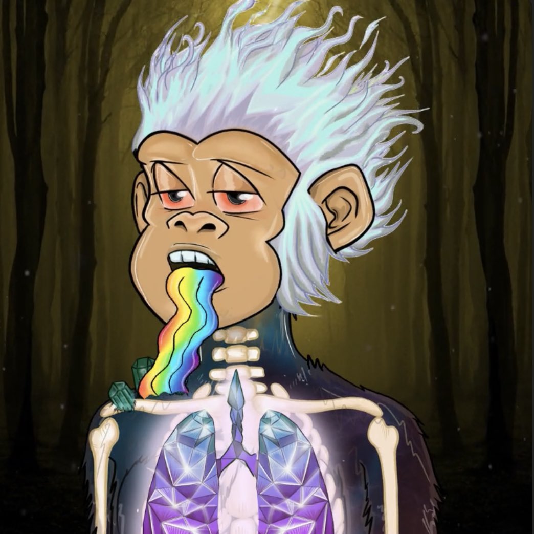 Marco Polo tweet media