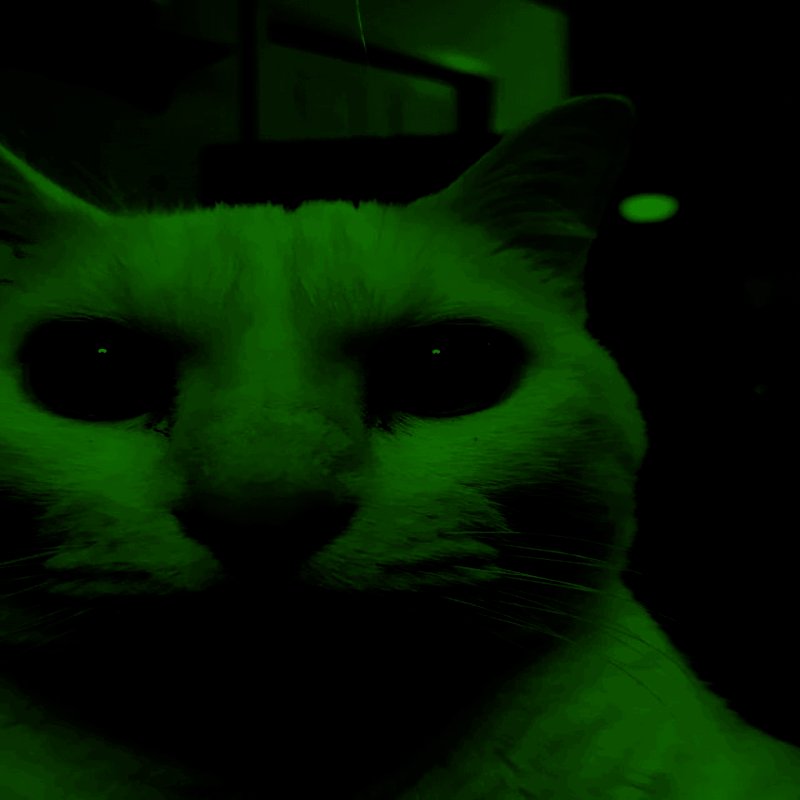 @Pr1malFusion Green uncanny cat: i am soo uncanny watch me tranform