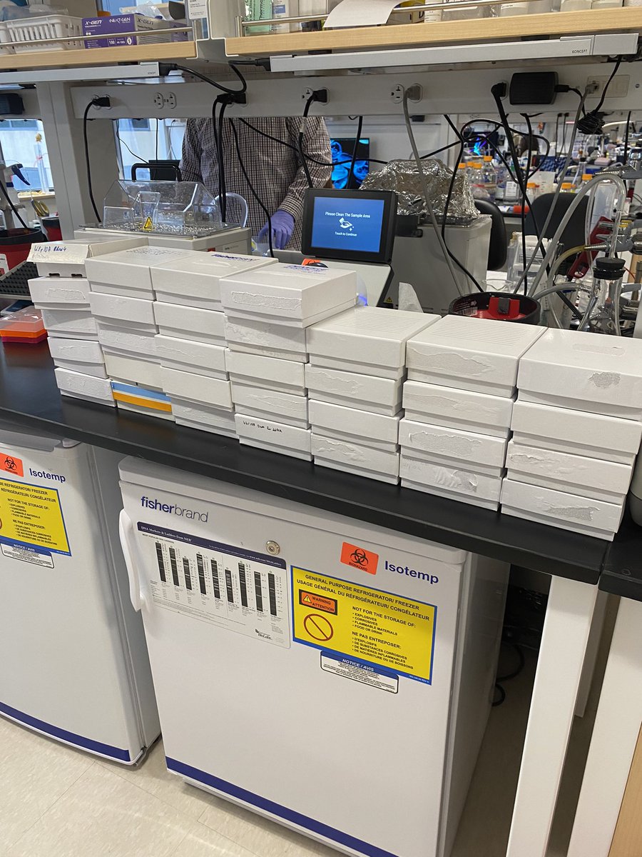 When the paper is published and you can finally throw out 32 boxes of DNA 
<a href="/J0Nelson/">Jonathan Nelson</a>