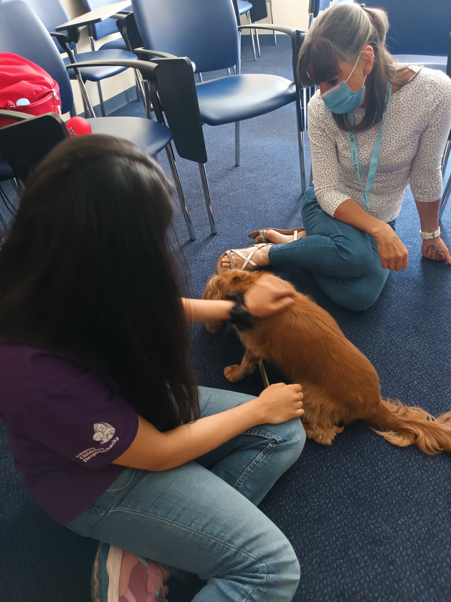 Our Royal Infirmary Edinburgh #VolunteersWeek2023 Get-Together was held on 6/6. They went for a walk to Little France Park then had the get-together where
@CanineConcern @TherapetC Toffee and Jett attended and enjoyed lots of cuddles.
@VolWeekScot #VolunteersWeek2023