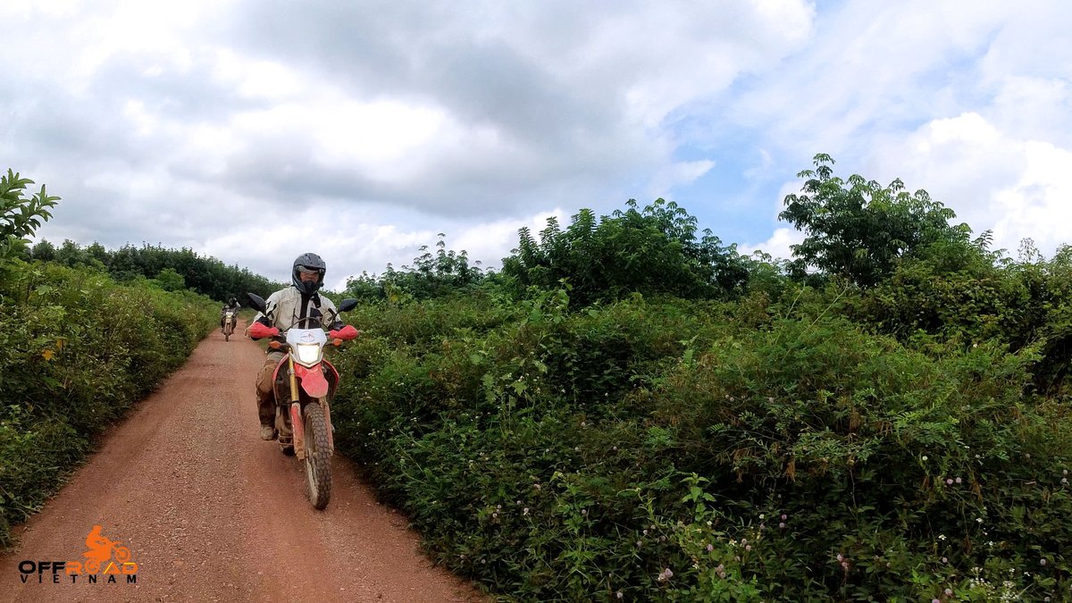Narrow roads would promote riding where riders have freedom of mind and be themselves. 💯

🖥️ hanoimotorbikerental.com

#narrowroads #promoteriding #senseofadventure #vietnam #xuhuong2023 #trending2023 #motorbike #moto #tour #rental #honda #XR250 #XR150L #CRF150L #CRF250L #CRF300L
