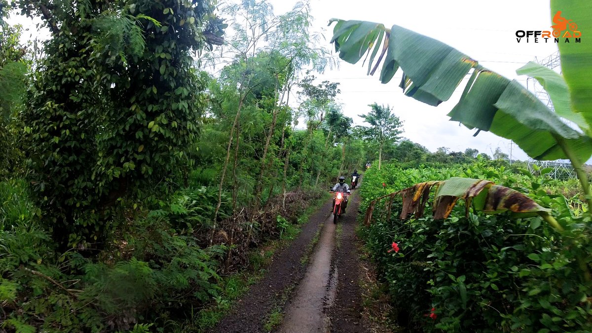 vietnamriders1's tweet photo. Narrow roads would promote riding where riders have freedom of mind and be themselves. ๐ฏ
๐ฅ๏ธ https://t.co/FmFPvlZa0n
#narrowroads #promoteriding #senseofadventure #vietnam #xuhuong2023 #trending2023 #motorbike #moto #tour #rental #honda #XR250 #XR150L #CRF150L #CRF250L #CRF300L https://t.co/3amwuYGkA2