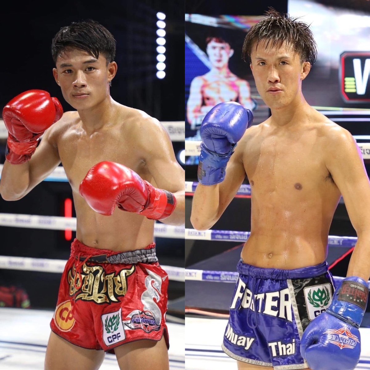 miruhon's tweet photo. 馬渡亮太(リョウタ・サシプラパ)二戦目が決定!
https://t.co/n9boMfSPnp
#週刊ファイト #WeeklyFightMiruhon
#格闘技
#キックボクシング
#kickboxng
#話題 #スポーツ #人気 #スポーツ女子
#トレンド #トレンドランキング https://t.co/AI8Q778Oge