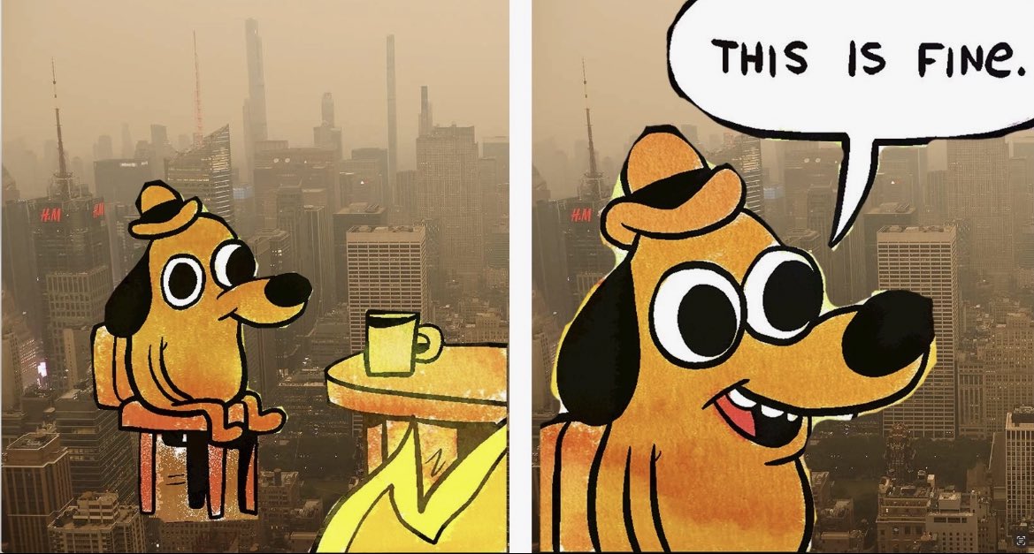 New Yorkers rn